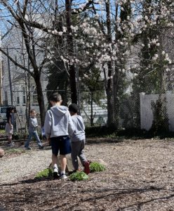 Students Observing Nature