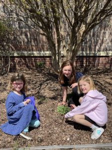 Students in Garden