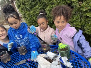 Students planting