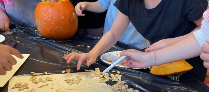 Students counting pumpkin seeds