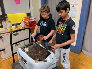 Students planting