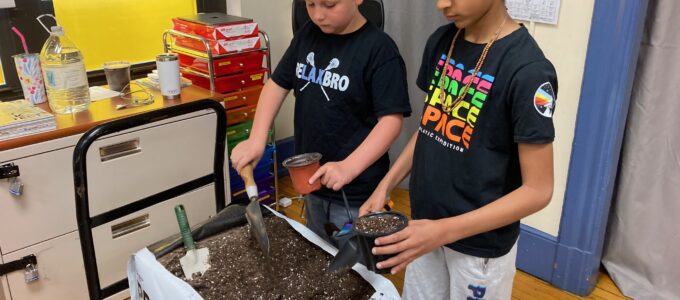 Students planting
