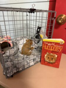 Stuffed hamster toy in cage
