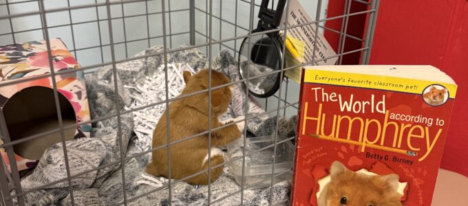 Stuffed hamster toy in cage