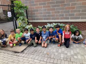 Students in front of pumpkin vines