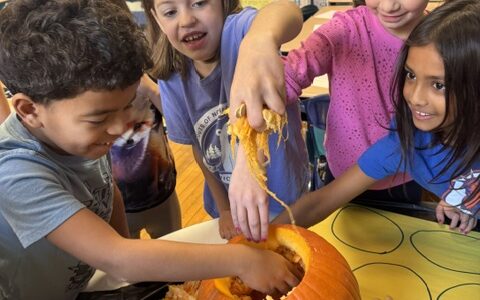 student scooping out pumpkin seeds